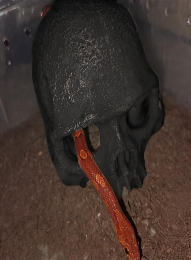 Odebyata Aquarium Terrarium Skull Decor, Reptile Hide House Shelter Cave for Geckos Spider Lizard Snake, Fish Tank Hide Cave House Hideouts Stones for Small Fish Shrimp Betta Crab Guppy Cichlids (Black) - Image 3
